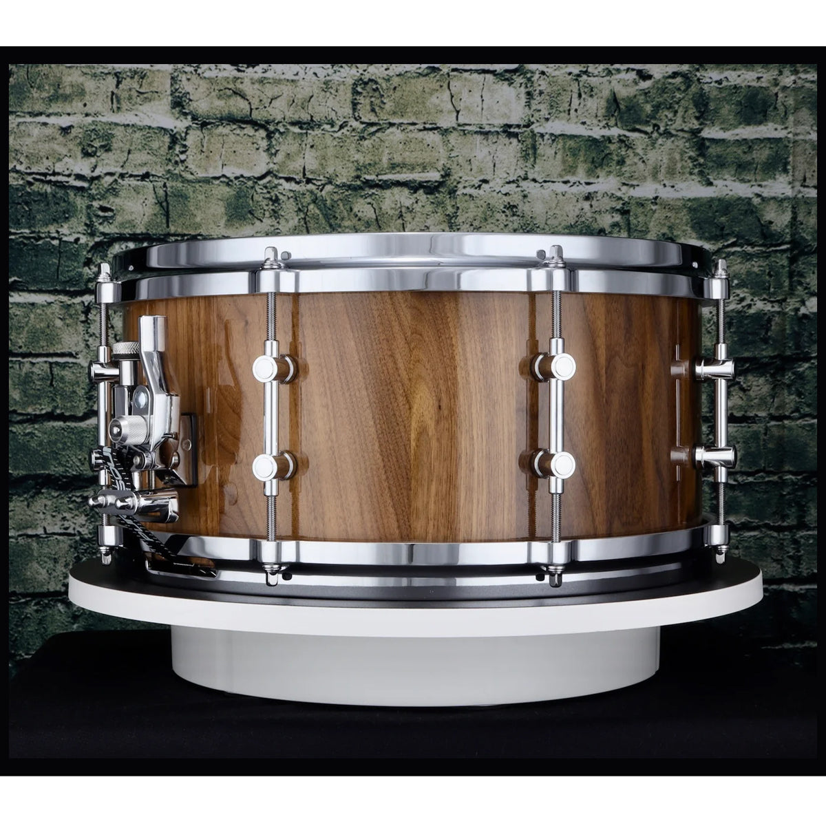 Primas Barbary Series 14"x6.5" Black Walnut Snare Drum