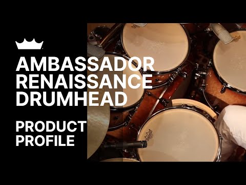 Remo Ambassador Renaissance Bass Drum Heads