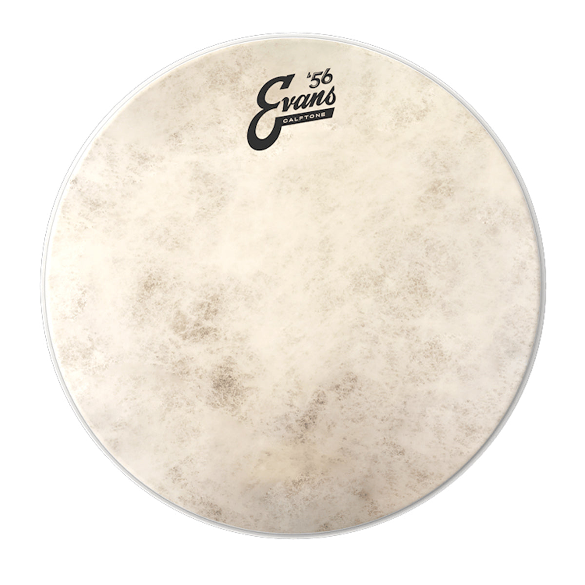 Evans '56 Calftone Drum Heads