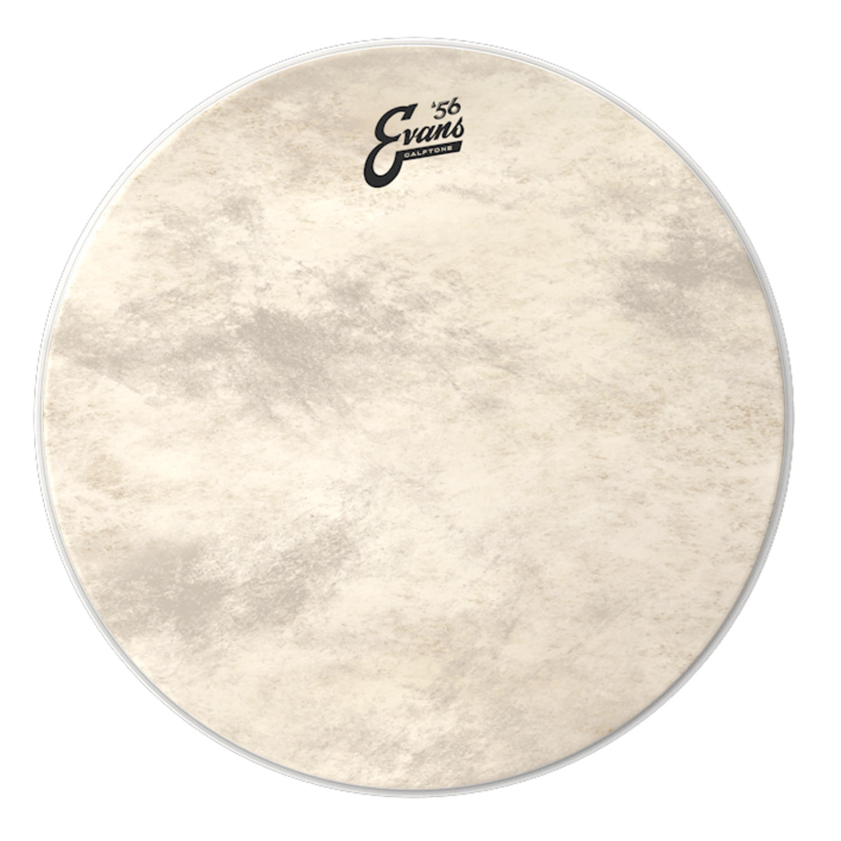 Evans '56 Calftone Bass Drum Heads