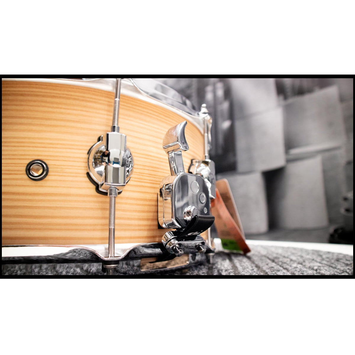 DS Drums Mother Nature Series 14"x6.5" Larch Snare Drum