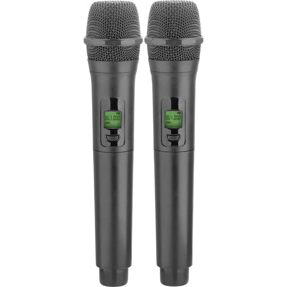 Stagg 15" Portable Speaker with x2 Wireless Microphones