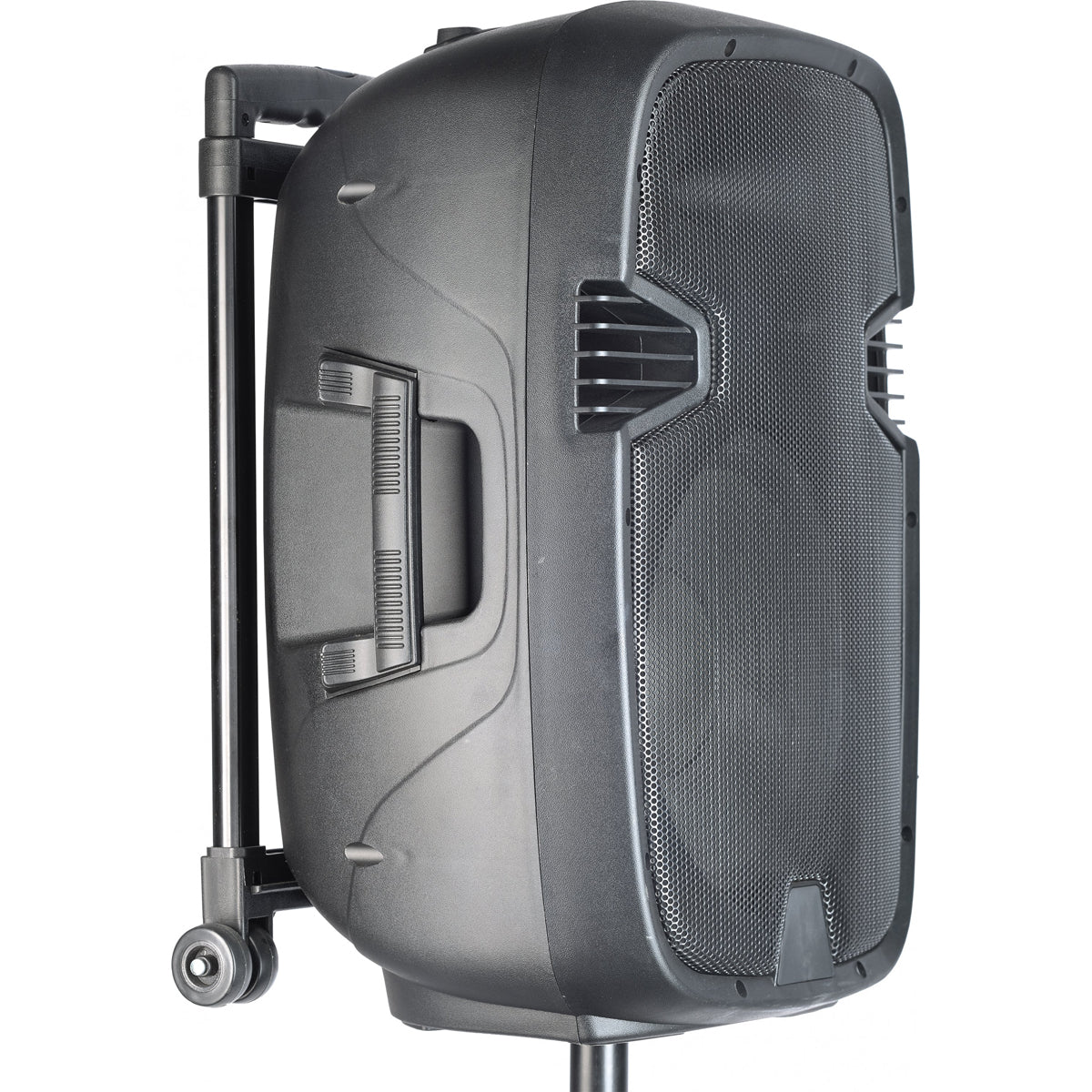 Stagg 15" Portable Speaker with x2 Wireless Microphones