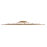 Zildjian A Custom 18" EFX