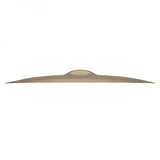 Zildjian Z Custom 22" Ride