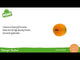 Nino Percussion Fruit & Vegetable Shaker - Orange