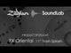 Zildjian FX 11" Oriental Trash Splash