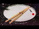 Pro-Mark Signature Eloy Casagrade Hickory Drum Sticks