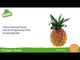 Nino Percussion Fruit & Vegetable Shaker - Pineapple