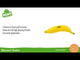 Nino Percussion Fruit & Vegetable Shaker - Banana