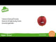 Nino Percussion Fruit & Vegetable Shaker - Apple