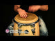 LP Percussion Classic Series Top Tuning Congas in Natural